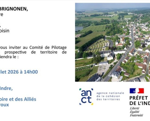 invitation comité pilotage Pellevoisin 2050